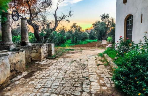 Masseria Tornesella Don Giuliano - Foto 26