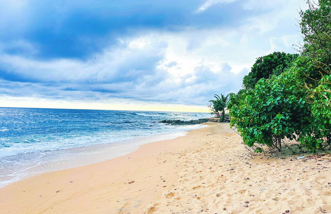 The White House Villa - Foto 38