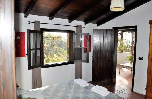 Monte frio de Tenerife - Foto 22