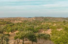 Herdade Vale de Cabras - Foto 33