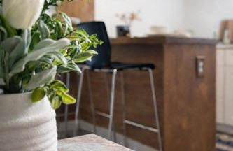 The Quiet Garden Studio - Decatur- Free Parking - Foto 23