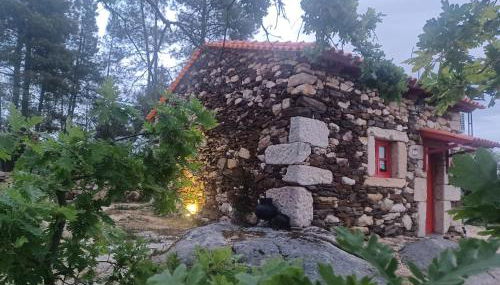 Casa do Feitor - Douro - Quinta da Cabrida - Foto 3