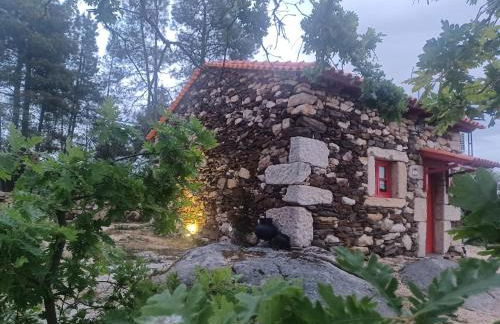 Casa do Feitor - Douro - Quinta da Cabrida - Foto 3