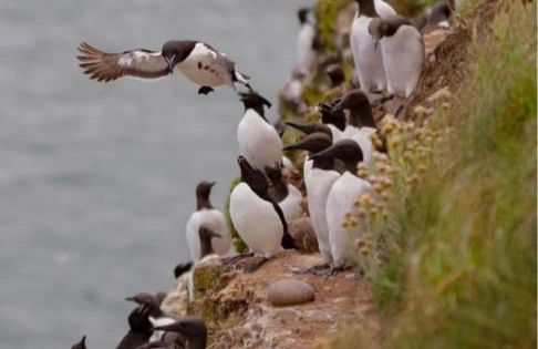 Driftwood - Photo 19