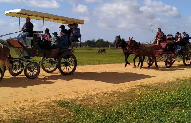 Tour in Almonte - Photo 5