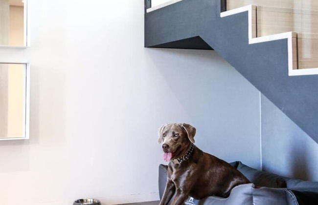 Exklusives Landhaus auf Fehmarn - Foto 16