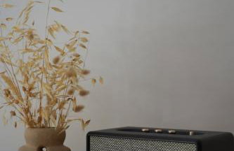 mi sestre – Studio Apartment Hvar Vrisnik - Foto 2