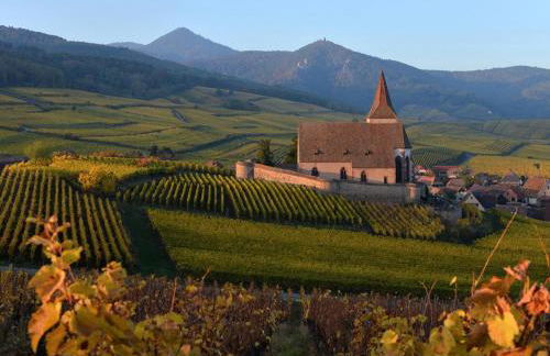 Charmant appartement rénové pour 4 pers avec terrasse à Hunawihr - FR-1-744-14 - Foto 1