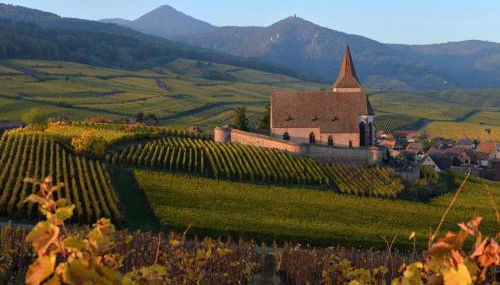 Charmant appartement rénové pour 4 pers avec terrasse à Hunawihr - FR-1-744-14 - Foto 1