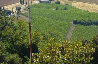 Accasamia Terricciola - Foto 8