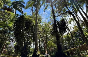 Um chalé e um riacho no meio da natureza - Foto 35