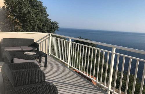 Captain Branko - Foto 23