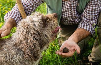 Agriturismo Borgo Scaffaia - Foto 50