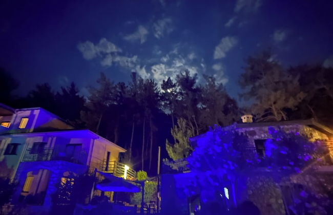 Alp Inn Butik Otel - Foto 35