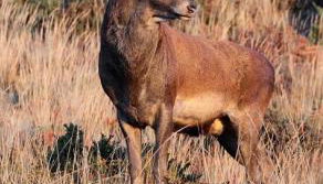 Casa da Aldeia - Foto 3