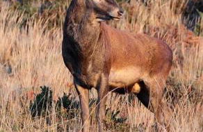 Casa da Aldeia - Foto 3