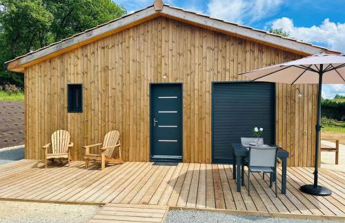 la maison dans la prairie fleurie gite bleuet - Foto 4