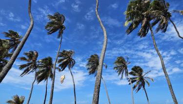 Go Eco Paradise Ap210 Pé na Areia e Piscina no Centro do Cumbuco - Foto 3