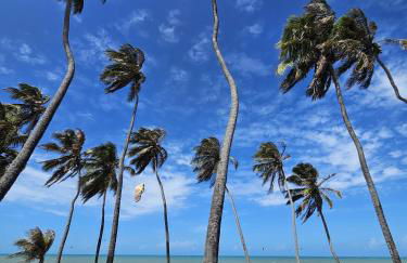 Go Eco Paradise Ap210 Pé na Areia e Piscina no Centro do Cumbuco - Photo 3