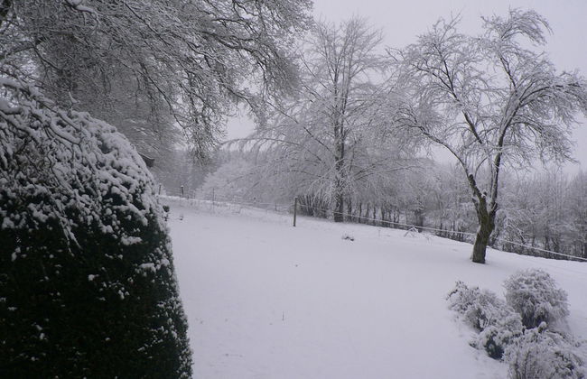 Forest Hideaway, Baillamont - Foto 22