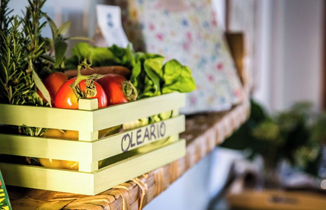 Bio Tenuta di Paganico - I Roggeti - Foto 43