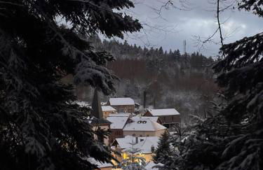 Chalet - gîte avec étang - Foto 32
