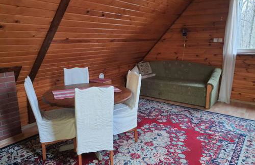 Domek w otulinie Wigierskiego Parku Narodowego - Foto 10