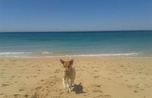 AIRUNNES Atico duplex Zahara primera linea - Photo 40