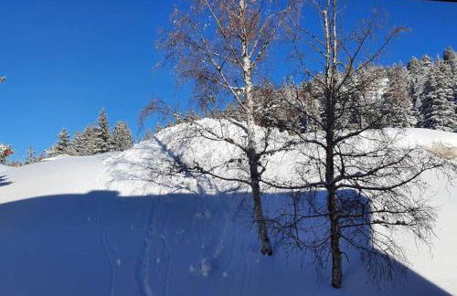 La Parenthèse Chamroussienne - Proche pistes de ski - Foto 21