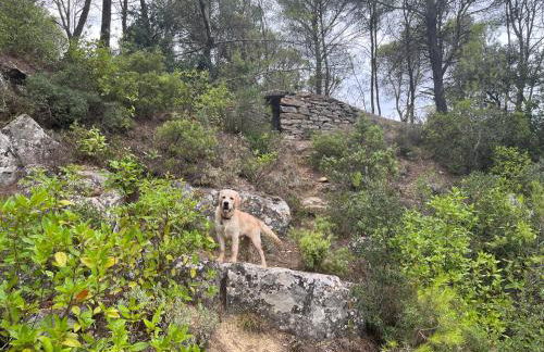 Chez Elia, pour les amoureux des vieilles pierres - Foto 43