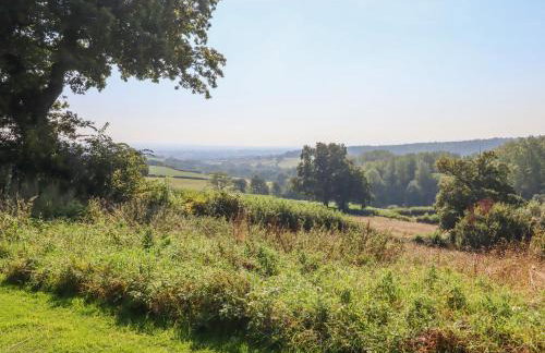 Sherway Shippen - Photo 40