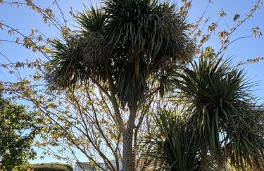 Marlow Family Retreat, Short Stroll into Town - Photo 26