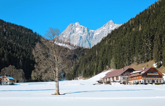 Annis Nest - Foto 25