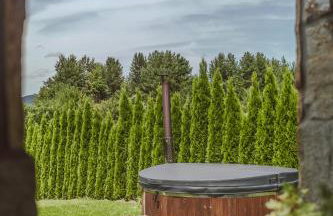 GRANICA Twój dom w Bieszczadach - Foto 34