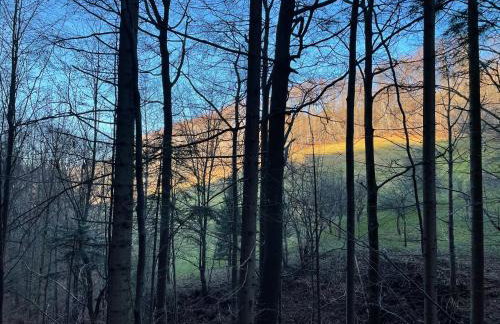 Apartamenty Carpe Diem - Photo 43