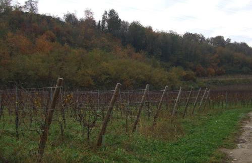 Agriturismo Cascina Rossano - Foto 59