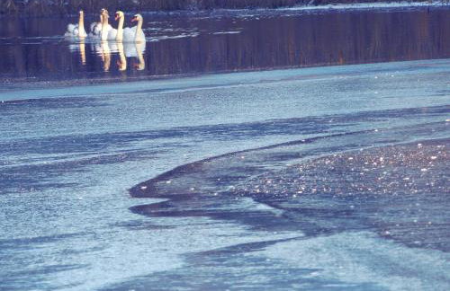 Ferienwohnungen Reichholdsmühle - Foto 14