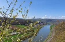 Froschkönig mit Teichblick - Photo 23