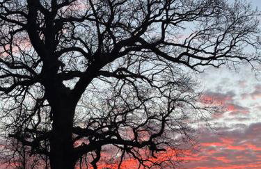 Corner House Plesna - Photo 52