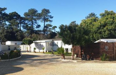 Gîte 2 à 4 pers Les Pommes de Pin Les Mathes La Palmyre proche zoo et plages - Photo 21