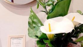 Lucus Dúplex - Photo 4