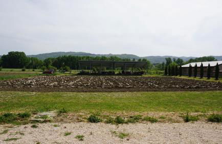 Fattoria Didattica Le Torte - Photo 8