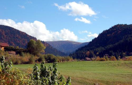 Les Joyeux randonneurs - Foto 4