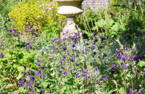 King Charles Cottage - Foto 42