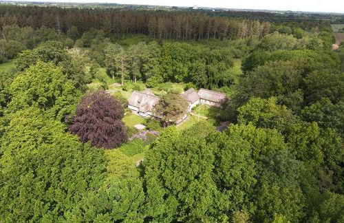 Kleines Reethaus Johannsen - mit geschmackvoller Einrichtung und tollem Garten - Foto 9