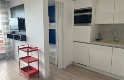 Appt T1 bis, terrasse face mer, rénové, climatisé - Foto 10