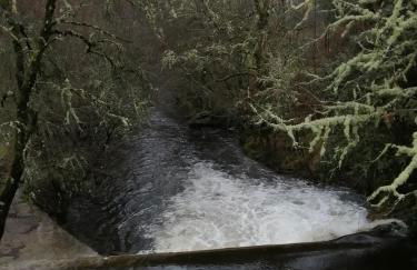 Casa do Bonifácio - Foto 37