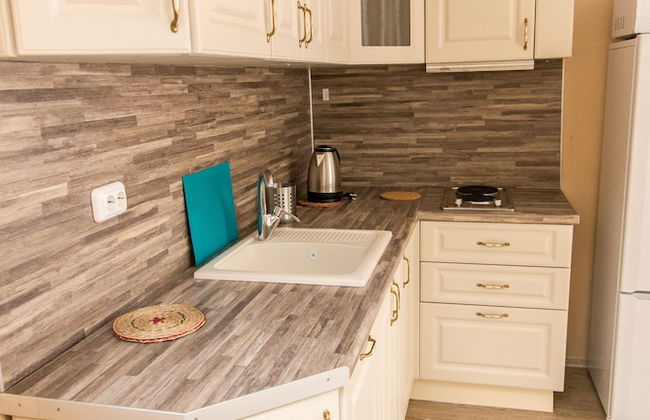 Zima Leto Apart Hotel - Photo 16