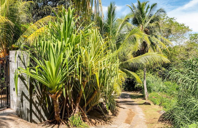 Blue Horizon Villas - Photo 35