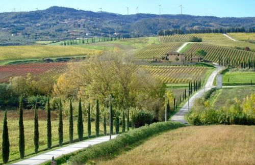 Nido Bianco - Foto 11